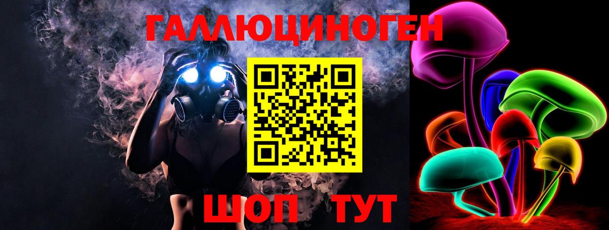 Галлюциногенные грибы Psilocybine cubensis Нягань